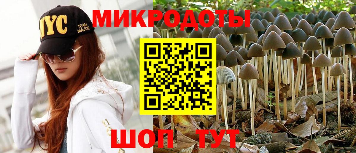 Псилоцибиновые грибы Psilocybe Волгодонск